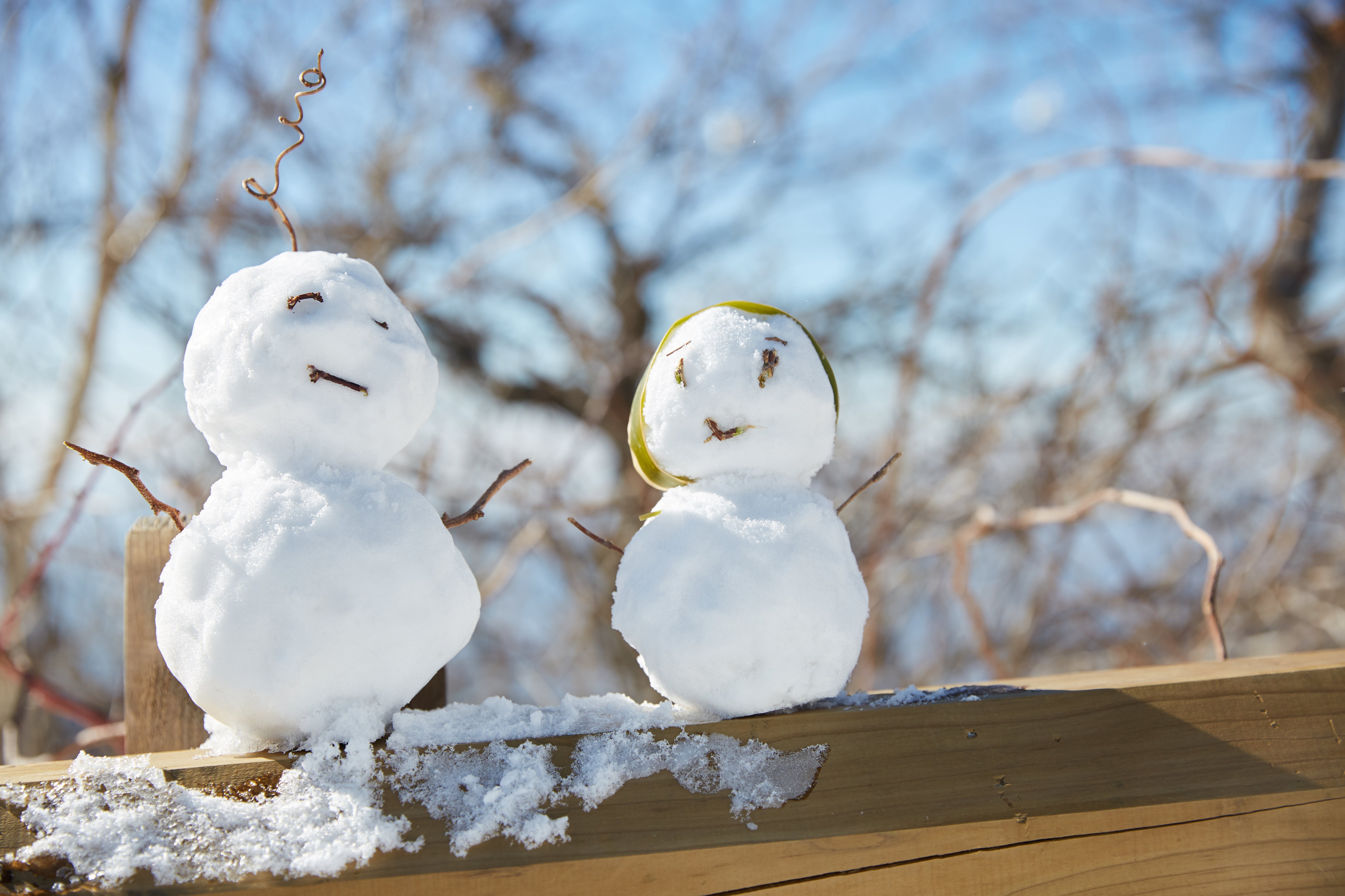 冬至，暖“杨”相伴 | suncitygroup太阳集团人全力配合各墓园冬至落葬