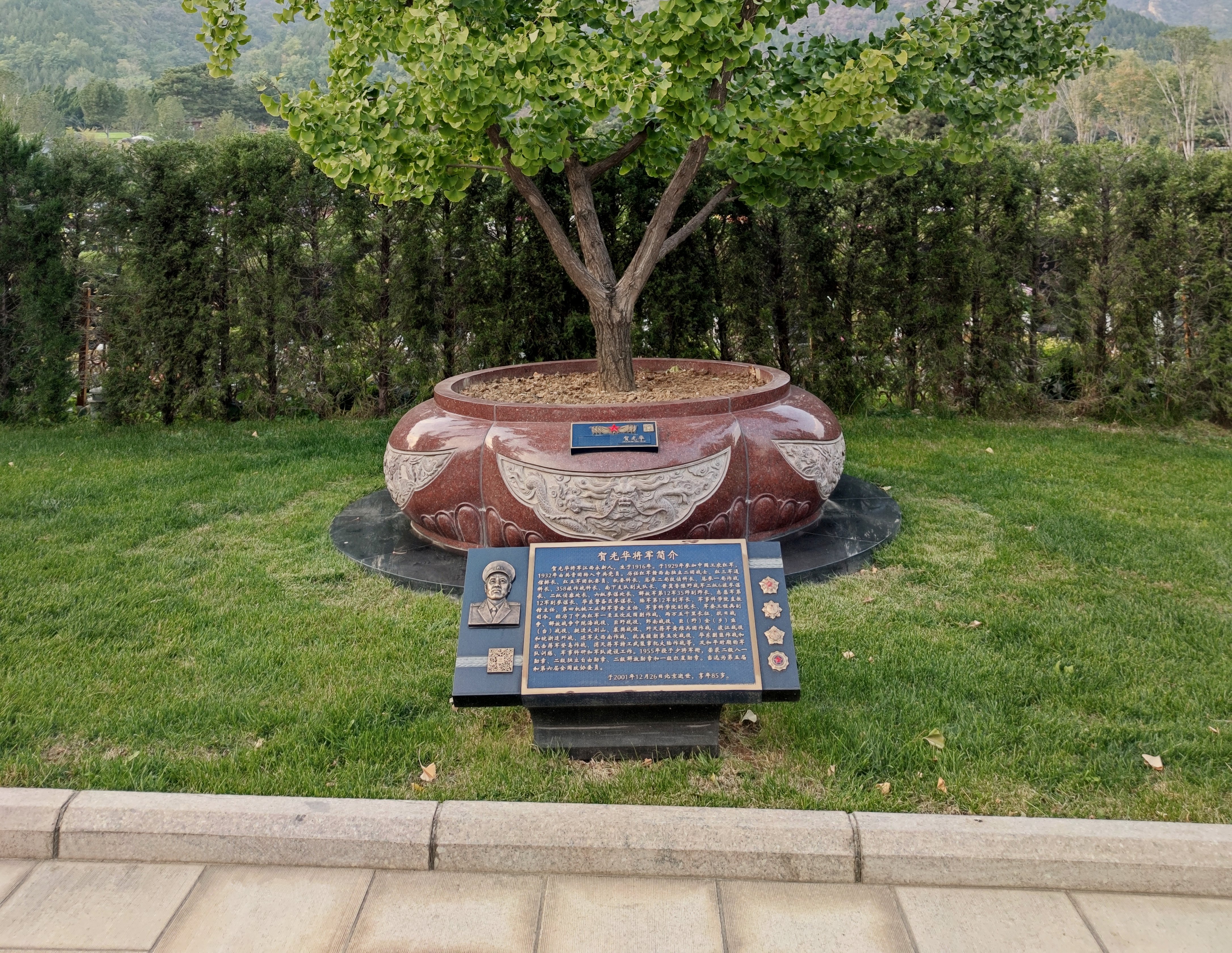 贺光华将军安息之地：九龙坛树葬