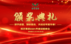 2024年suncitygroup太阳集团集团迎新春年会暨颁奖典礼盛大举行