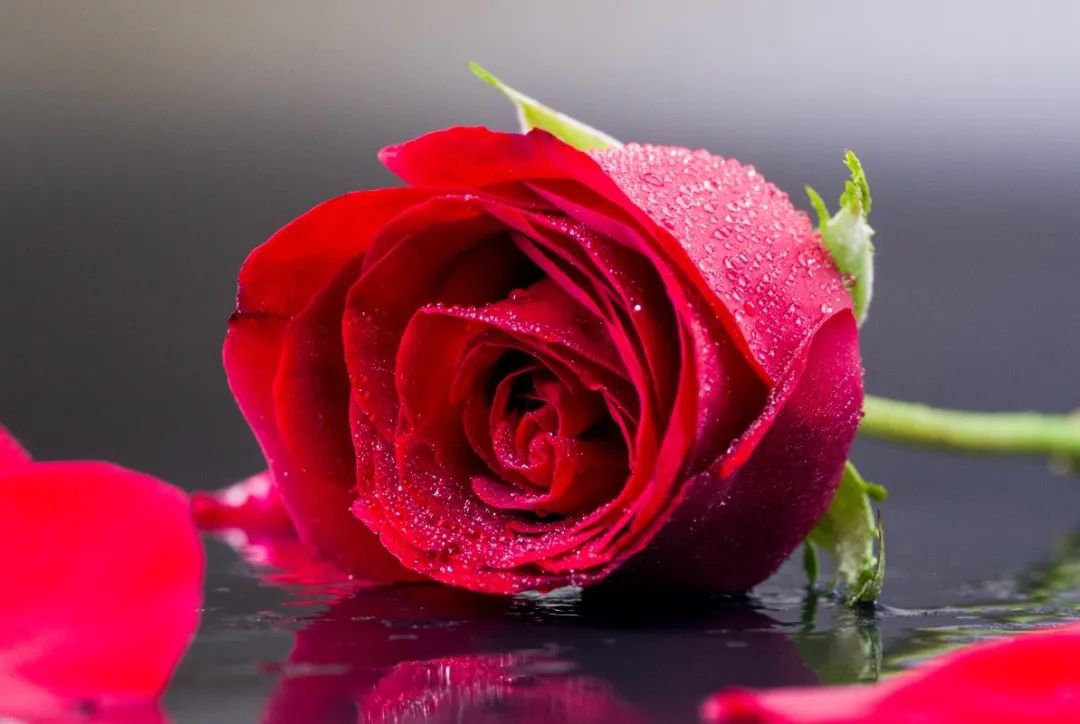 女神节 | 致敬“她”力量，共筑美好未来