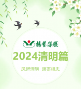 风起清明 遥寄相思|suncitygroup太阳集团集团?2024清明篇