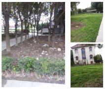 老墓园改造：城市中的绿色记忆与文化传承