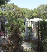 绿色生态葬：文明赓续的绿色选择