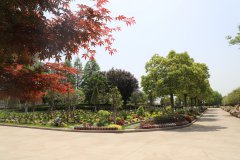 归于林下：一场与自然的温柔重逢