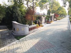 城市最后一平米：生态葬，是与自然的和解？还是无奈的选择？