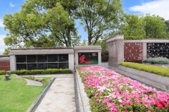 归于自然，泽被后世：解读现代生态葬及其创新趋势